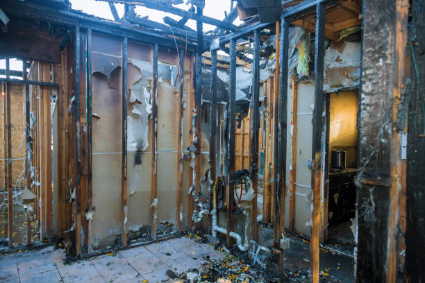 Professional Fire Damage Removal technician working in Mount Prospect, IL